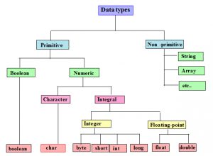 Datatype and variable in Java programming language