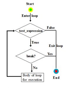 Break statement in python programming language