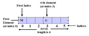 Single dimension Array of C language