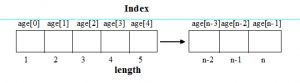 Single dimension Array of C language