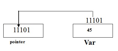 Pointer variable