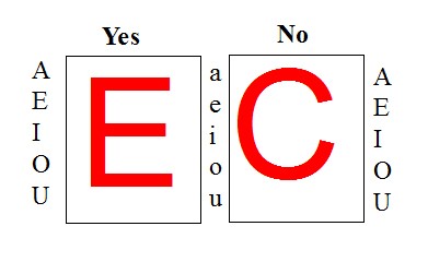 Python code to check whether a character is vowel or consonant